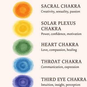 May include: A watercolour illustration of the seven chakras, each represented by a colourful, circular shape. The text identifies each chakra: Root, Sacral, Solar Plexus, Heart, Throat, Third Eye, and Crown, along with their associated qualities.