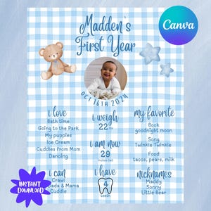 Könnte beinhalten: Ein Meilenstein-Poster für Maddens erstes Jahr mit blau-weißem Vichy-Muster. Es enthält ein Foto, eine Teddybär-Grafik und Details über die Vorlieben des Babys, sein Gewicht (10 kg), seine Größe (74 cm) und seine Spitznamen.