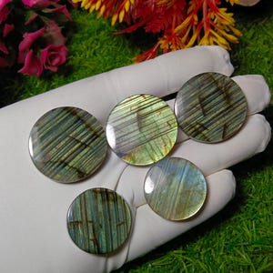 May include: Five round labradorite stones with iridescent green, blue, and gold hues. The stones are held on a white surface, with a background of green grass and colorful flowers. Each stone has unique striations.