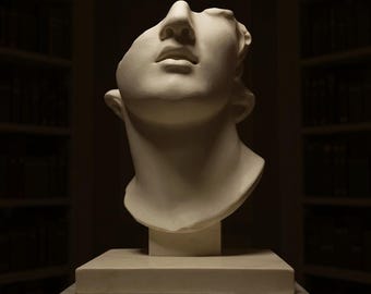 Roman Male Bust Sculpture | Greek Mythology Statue | Aesthetic Academic Art | Classical Home Office Ornament