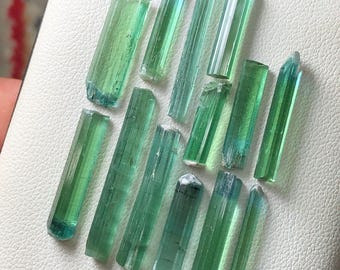 May include: A collection of raw, natural tourmaline crystals. The crystals vary in size and shape, displaying a range of green and blue-green hues. They are arranged on a white surface, showcasing their translucent quality and natural formations.