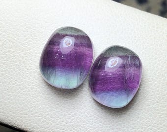 May include: Two polished fluorite gemstones. The stones are oval-shaped with a gradient of colors, transitioning from a translucent green at the top to a deep purple in the middle, and ending with a light blue at the bottom.