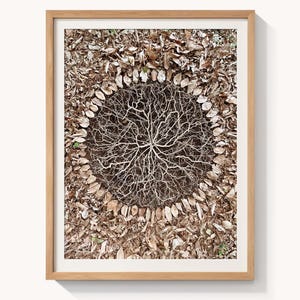 Puede incluir: Obra de arte enmarcada que presenta una disposición circular de hojas secas y una estructura central blanca y compleja de ramas. La obra está sobre un fondo de más hojas secas, creando una estética natural y terrosa. El marco es de madera clara.