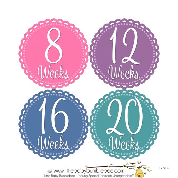 Items similar to Pregnancy Reveal, Baby Announcement, Pregnancy Weekly