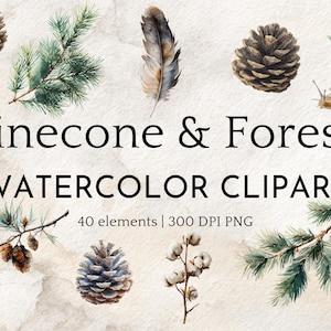 Watercolor Pinecones Clipart, Woodland Forest PNG Bundle, Nature Elements, Twigs, Rustic Botanical Clip Art