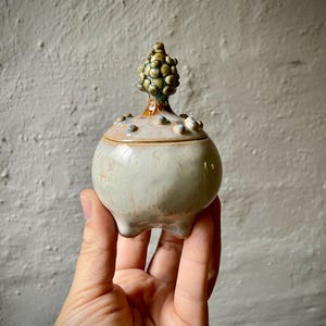 Handmade Ceramic Lidded Jar | Sculptural Pottery Box | Unique Art Container | Fantasy Trinket Box | One of a Kind Ceramic Vessel