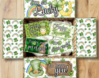 St. Patrick's Day Care Package Printables • Lucky to Have You Box Decor • Printable Box Flap Kit • Instant Download CPK-PAT