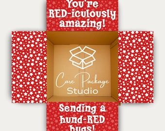 RED CARE PACKAGE Sticker Kit, College Dorm Treat Box Flaps, Long Distance Relationship Care Package Labels, Deployment Box Stickers Decor