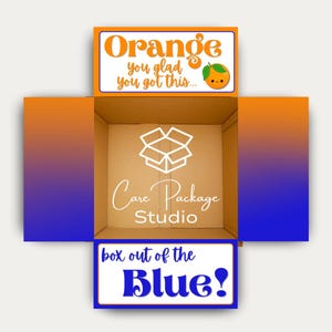 May include: An open cardboard box with orange and blue gradient sides. The top flap has the text "Orange you glad you got this..." and a cartoon orange. The bottom flap reads "box out of the Blue!". The box interior has the logo "Care Package Studio".