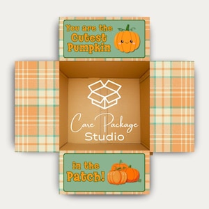 May include: Open cardboard box with a plaid orange and cream pattern on the outside. The inside of the box has the text "Care Package Studio" and a logo. The top flap has the text "You are the Cutest Pumpkin" with a smiling pumpkin graphic. The bottom flap says "in the Patch!" with pumpkin graphics.