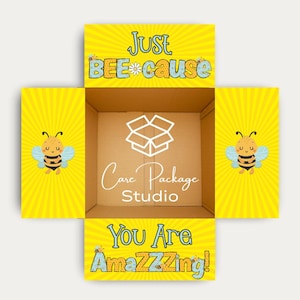 May include: An open cardboard box with yellow panels featuring a sunburst design and cartoon bees. Text on the panels reads "Just BEE-cause" and "You Are AmazZZZing!" The inside of the box has the text "Care Package Studio" and a box graphic.