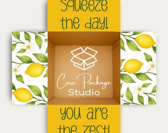Squeeze the Day Care Package Sticker Kit, College Student Care Package Box Labels, Military Box Decorations, Lemon Care Package Flap Decals