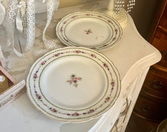 bassett limoges austria floral design dessert plates, luncheon plates with hand painted florals, made in austria vintage plates, decor plate