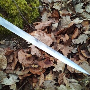 May include: A silver sword blade with a sharp point, resting on a bed of fallen brown leaves. The sword's edge is serrated. Green moss is visible in the background.