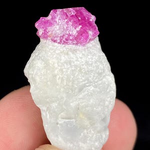 Peut inclure: Gros plan sur un cristal de rubis brut sur un minéral blanc. Le rubis est d'un rose vif, avec une surface rugueuse et texturée. Le minéral blanc a un aspect lisse et opaque. Le fond est noir.