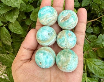 May include: Six round, polished stones with a turquoise and tan marbled pattern are held in an open hand. The stones have a smooth, spherical shape and are displayed against a backdrop of green foliage.