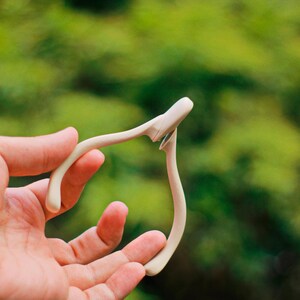 May include: A cream-colored, wishbone-shaped object is held in a hand against a blurred green background. The object has a curved design with a small, flat top and two elongated, curved arms.