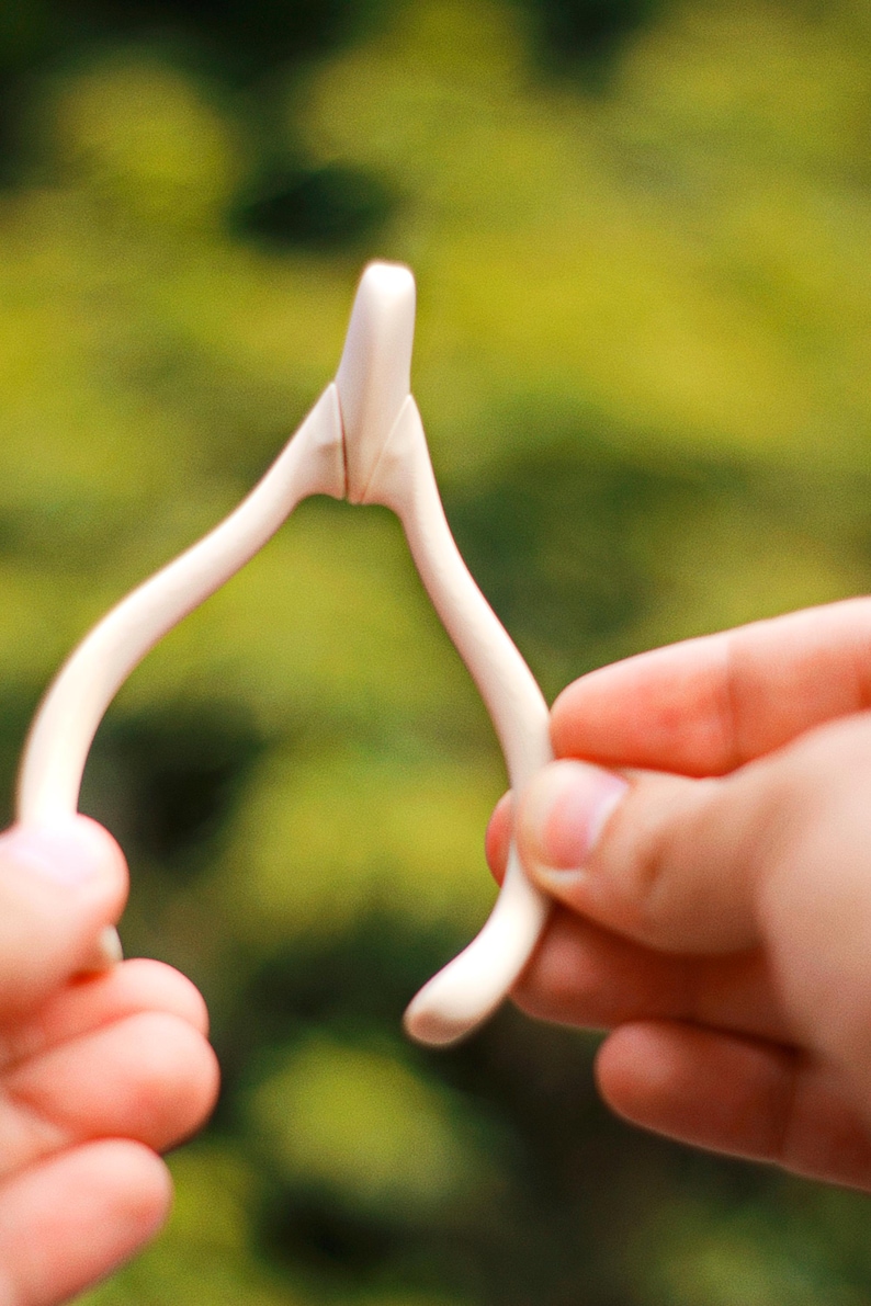 May include: A close-up of a wishbone, held between two hands. The wishbone is off-white and has a smooth texture. The background is a blurred green and yellow.