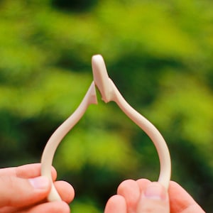 May include: A light-colored wishbone, held between two hands against a blurred green background. The wishbone is a pale ivory color, with a smooth, curved shape. The ends are slightly thicker than the middle.