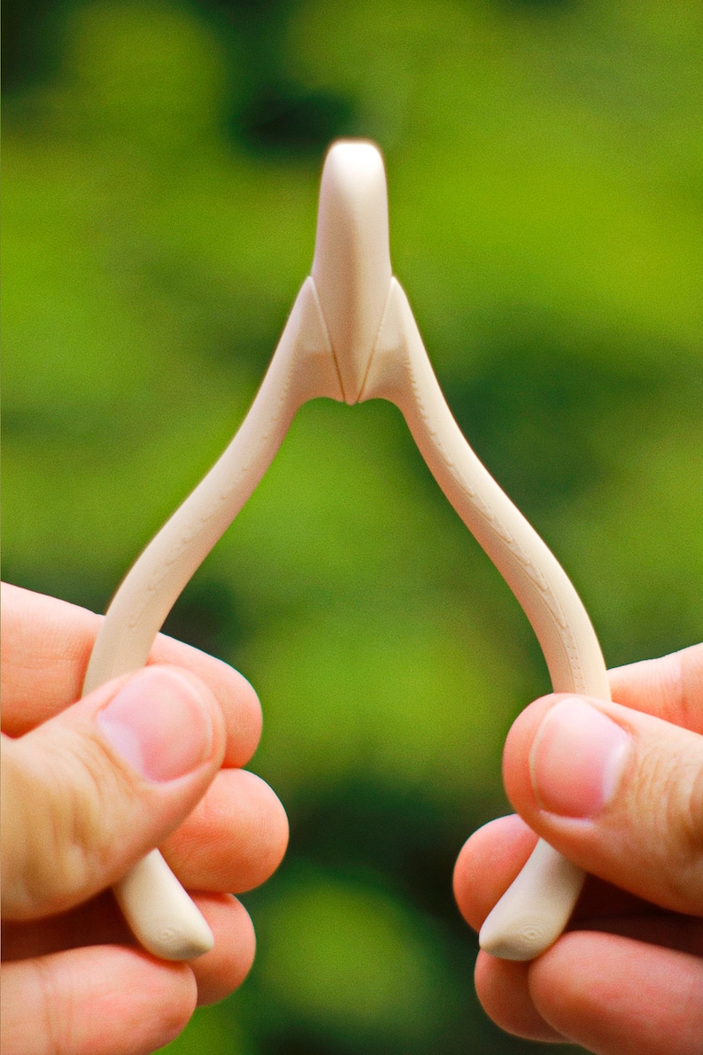 May include: A beige wishbone, held between two hands, against a blurred green background. The wishbone is smooth and curved, with a rounded top and two diverging arms. The object is made of a light-colored material.