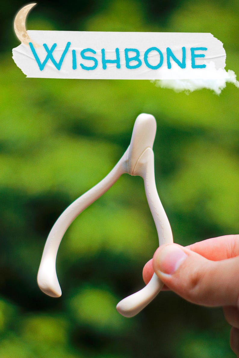 May include: A wishbone, held by a hand, against a blurred green background. The wishbone is off-white and the text "WISHBONE" is written in blue on a white background with a crescent moon and cloud graphic.