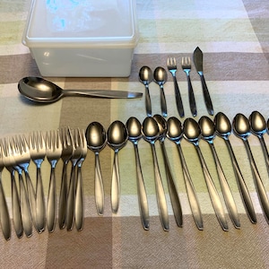 May include: A collection of stainless steel flatware including forks, spoons, and a knife, arranged alongside a white plastic storage container. The set features multiple forks, various spoons of different sizes, and a single knife with a smooth finish.