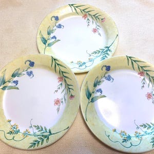 May include: Three round ceramic plates featuring a white center and a pale yellow rim with a crackle texture. The rims are decorated with painted green vines, small blue flowers, and delicate pink blossoms arranged in a trailing botanical pattern.