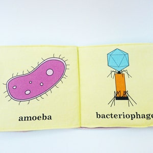 Viruses for Babies Microbiology Cloth Book image 4