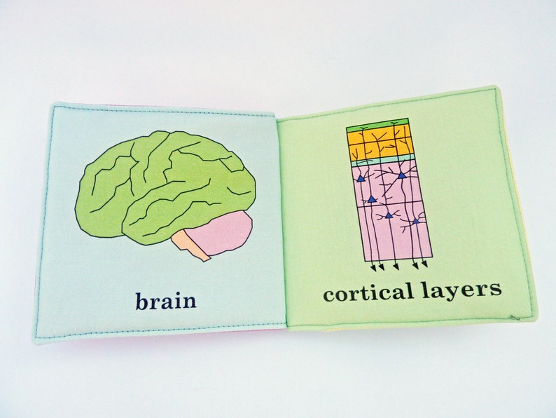 Baby's First Neuroscience Book image 3