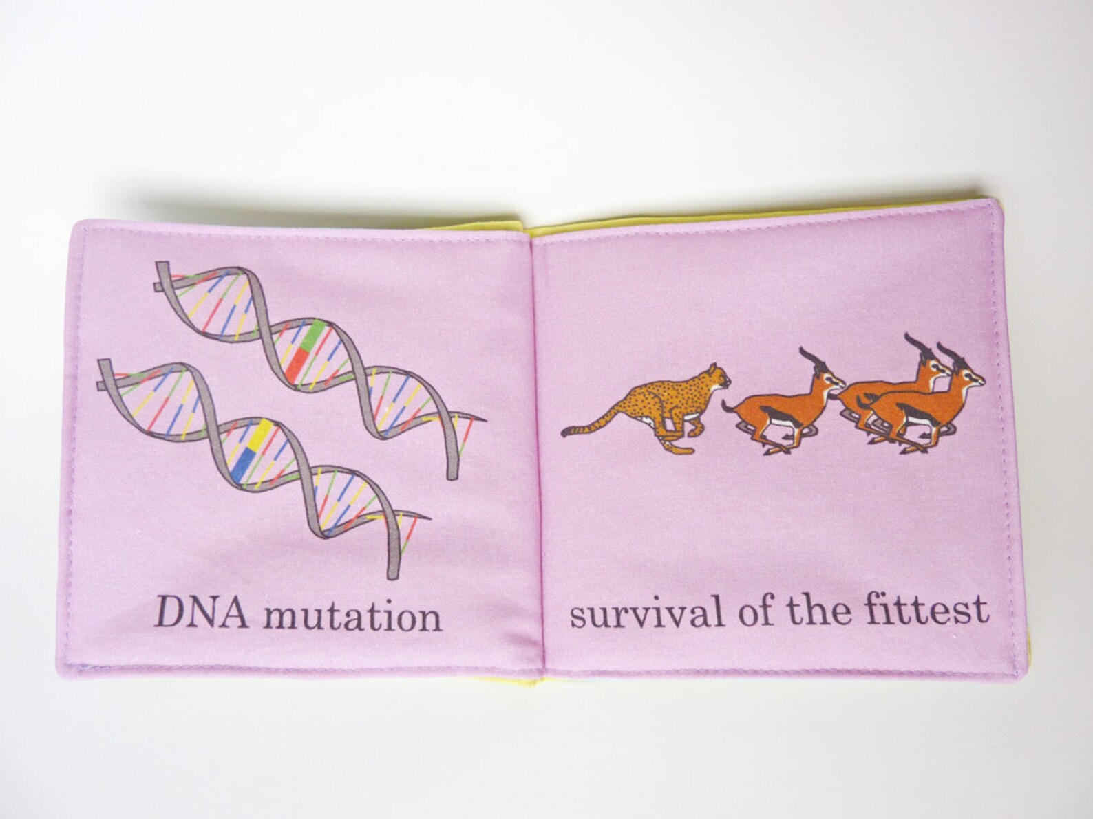 Baby's First Evolutionary Biology Book Etsy