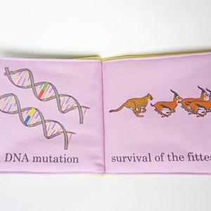 Baby's First Evolutionary Biology Book image 3
