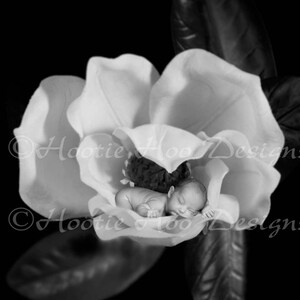Newborn Baby in Magnolia Flower, Digital Backdrops Props, digital download