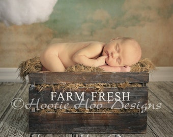 Farmers Markey Digital Backdrops/Props on handpainted cloud backdrop, digital download