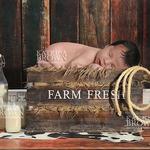 Farm Fresh Themed Digital Background Backdrop for Infant Newborn Photography. 2 Digital Files plus free Photoshop tutorials!
