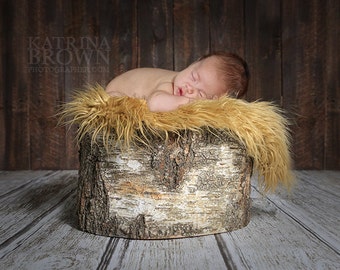 Newborn Infant Baby Photography Prop Tree Stump- Digital files to add your images to