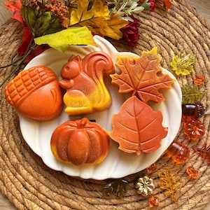 May include: A collection of five autumn-themed soaps shaped like an acorn, a squirrel, a pumpkin, and two different maple leaves. The soaps feature a gradient of orange, yellow, and red colors with a subtle shimmer, arranged on a white shell-shaped dish.