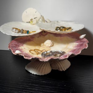 Handmade Seashell Jewelry Display, Coastal Decor