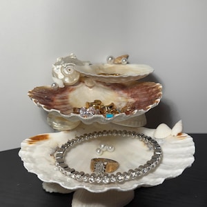 Handmade Seashell Jewelry Display: Coastal Mermaid Decor
