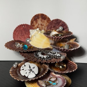 seashell jewelry display, mermaid jewelry holder, ocean aesthetic, beach coastal aesthetic, gift ideas