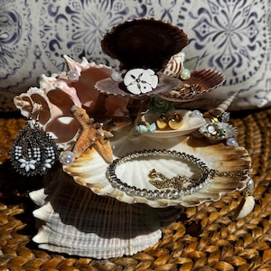 seashell jewelry display large ocean display mermaid jewelry holder