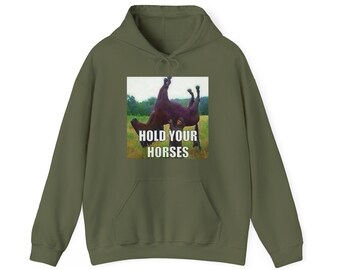 Hold Your Horses | Antimeme | Funny Meme Shirt | Unisex Hooded Sweatshirt
