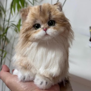 Könnte beinhalten: Ein lebensechter Perserkatzen-Plüsch mit cremefarbenem und hellbraunem Fell. Die Katze hat große, ausdrucksstarke grüne Augen, eine rosa Nase und flauschiges weißes Fell auf Brust und Pfoten. Die Plüschkatze sitzt aufrecht.