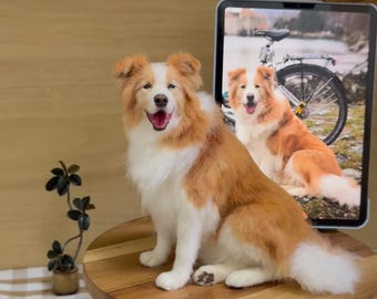 Custom Needle Felted Border Collie, Lifelike Dog Sculpture, Pet Memorial Christmas Xmas Thanksgiving Gift, Father's Day gift