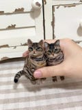 Needle Felted Cat Sculpture - Handmade Wool Kitten, Pet Replica Christmas Xmas Thanksgiving Gift