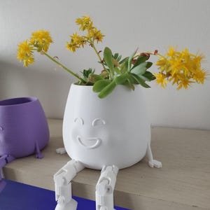 May include: A white, egg-shaped planter with a smiling face and attached legs, holding a succulent plant with yellow flowers. A purple planter is visible in the background. The planter is sitting on a wooden shelf.