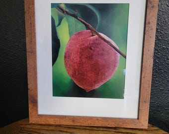 Peach Art! Framed print of an oil painting titled "Palisade Peach Glow" 11x14.