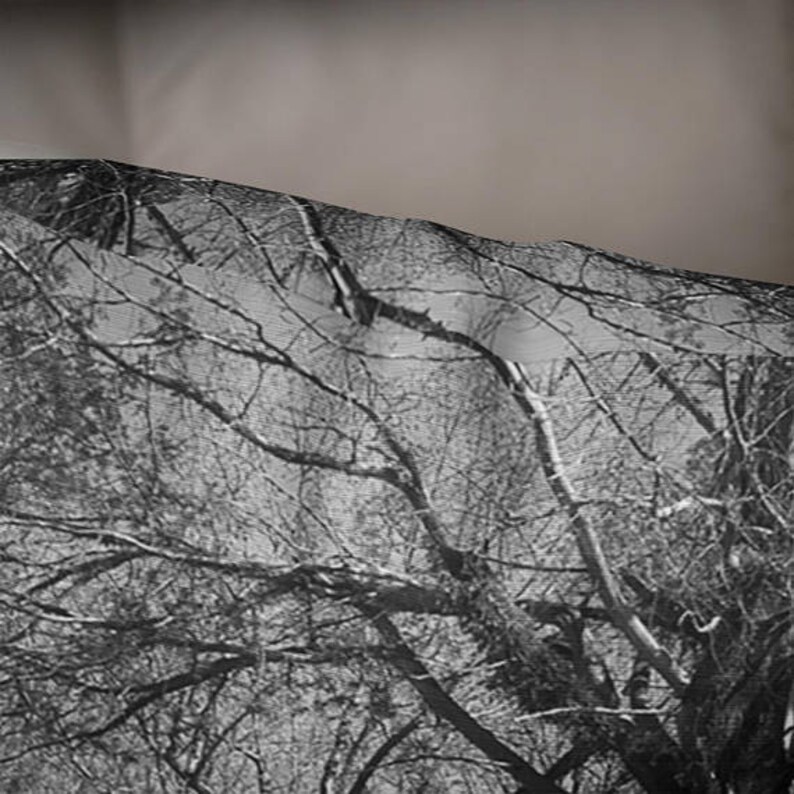 Peut inclure: Photographie en noir et blanc de branches d'arbres nues sur un fond gris clair. Les branches sont entrelac&eacute;es et cr&eacute;ent un motif de lignes et de courbes.