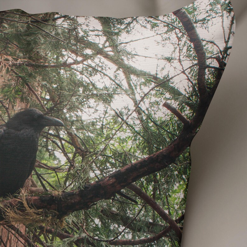 May include: A black crow perched on a branch in a forest. The crow is looking up at the sky. The branches of the trees are visible in the background.