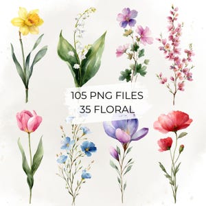 Op de afbeelding: Waterverfillustraties van verschillende bloemen, waaronder een gele narcis, een roze tulp en een rode klaproos. De afbeelding bevat ook takjes met blauwe en paarse bloemen, en de tekst "105 PNG FILES 35 FLORAL".