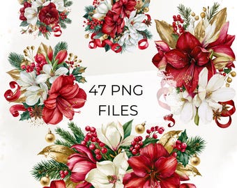 Christmas Amaryllis Clipart Bundle, 47 Watercolor Red and White Floral Arrangements PNG, Holiday Flowers, Berries and Gold Leaves